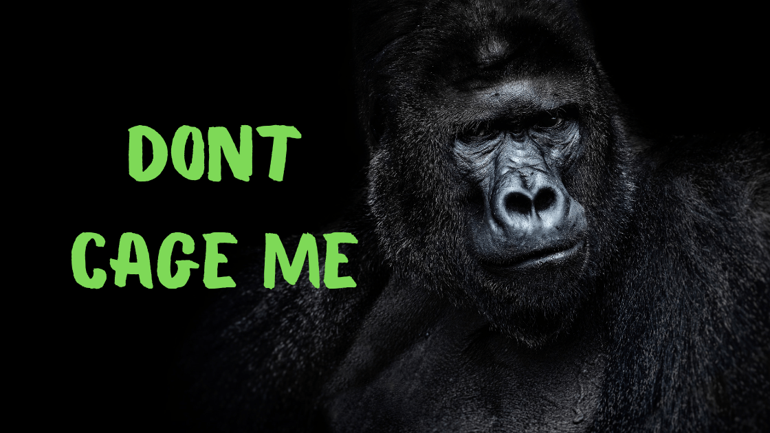 Don't Cage Me! - FIHEROE.