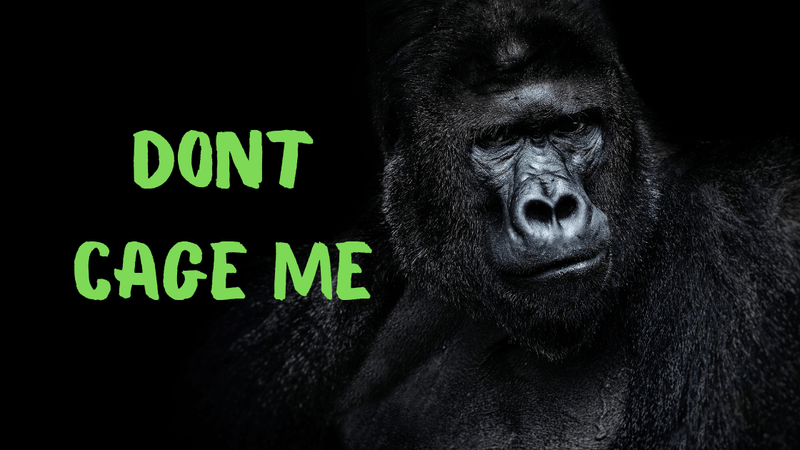 Don't Cage Me! - FIHEROE.