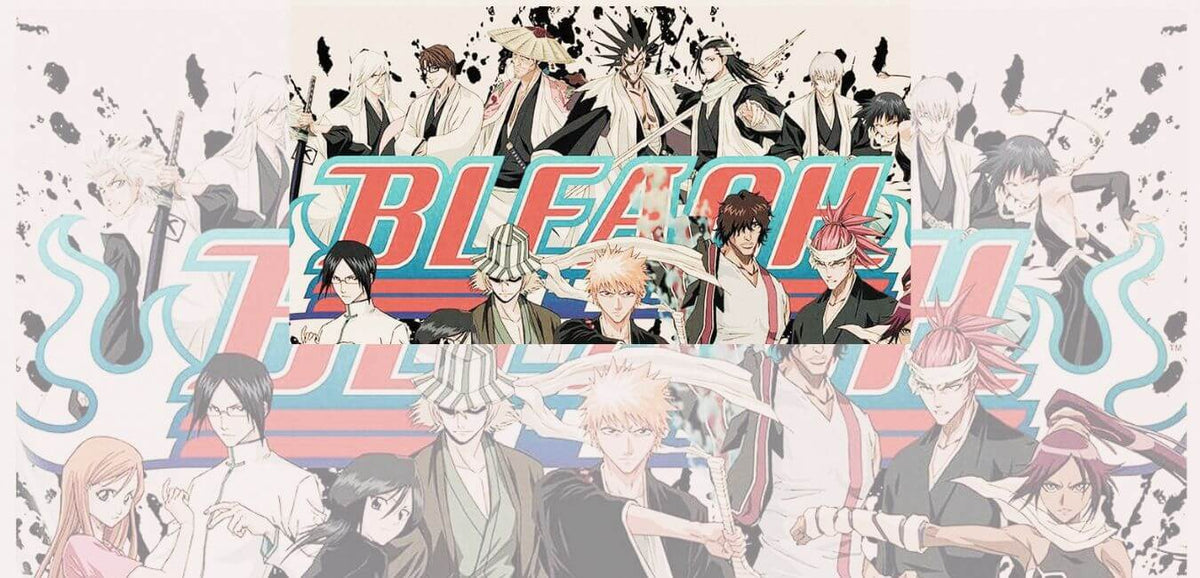 bleach gotei 13