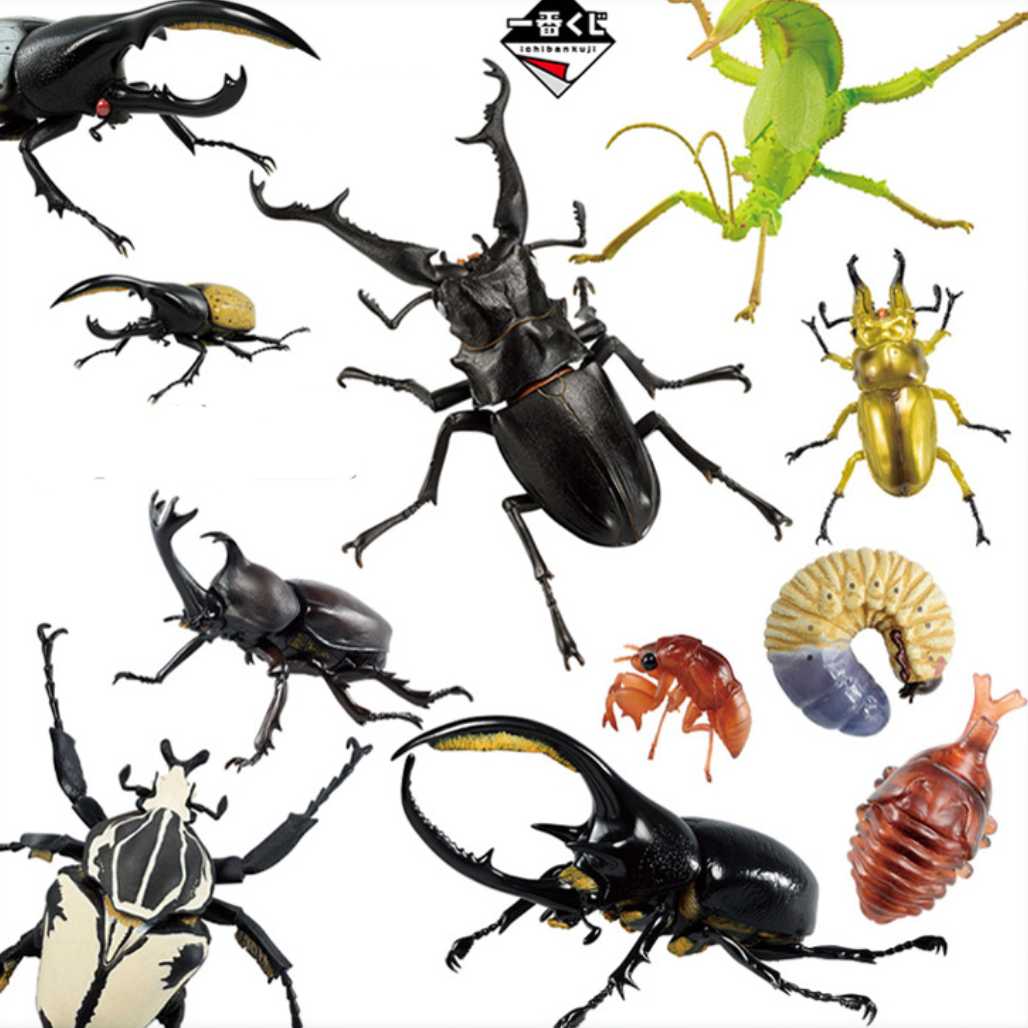 Banpresto Entomology Realistic Insect Figures - FIHEROE.