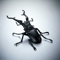 Banpresto Entomology Realistic Insect Figures - FIHEROE.