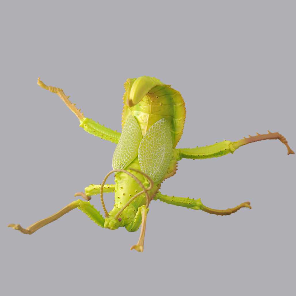 Banpresto Entomology Realistic Insect Figures - FIHEROE.