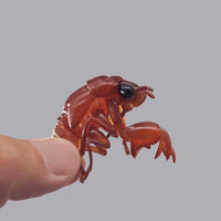 Banpresto Entomology Realistic Insect Figures - FIHEROE.