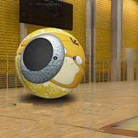 Pokemon Collector Basketball - FIHEROE.