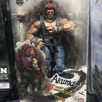 NECA Akuma Street Fighter Action Figure - FIHEROE.