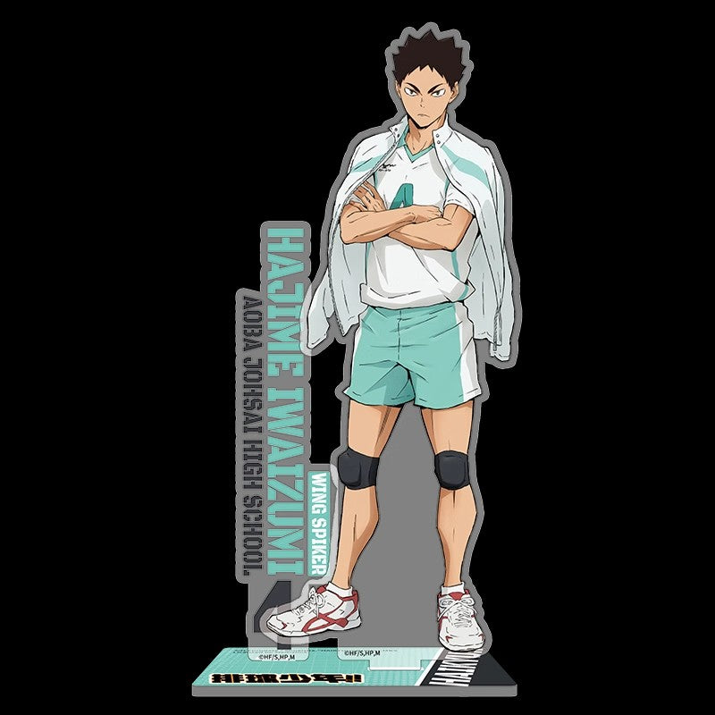 Official Haikyuu Schools Anime Acrylic Standees - FIHEROE.
