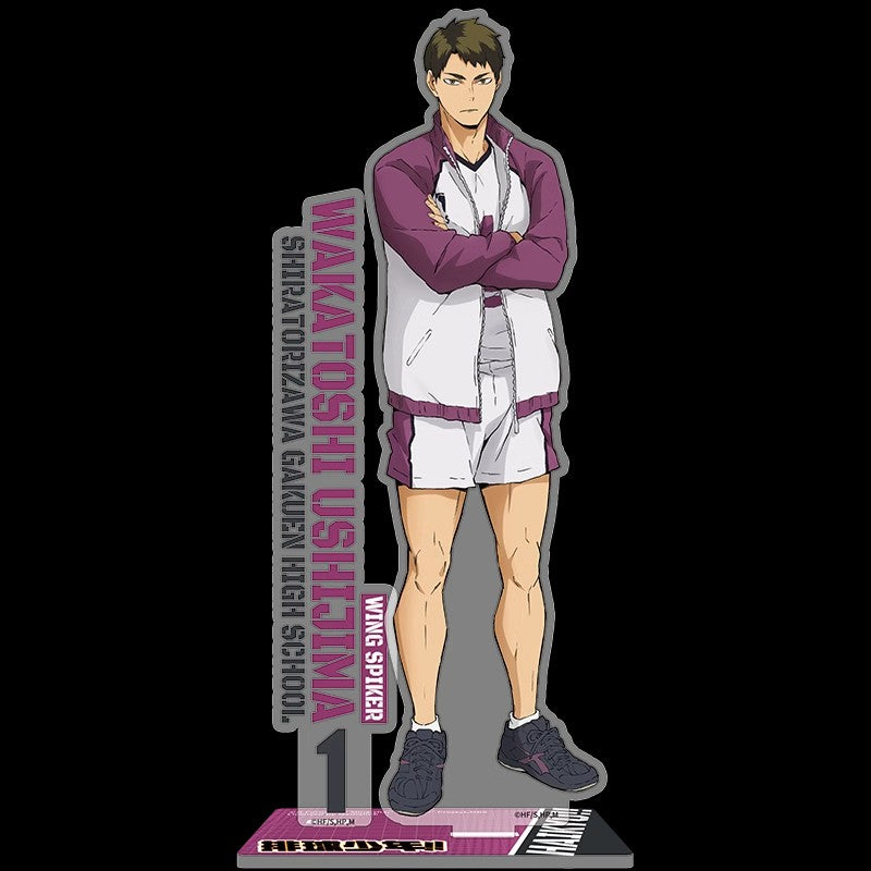 Official Haikyuu Schools Anime Acrylic Standees - FIHEROE.