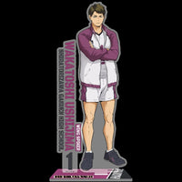 Official Haikyuu Schools Anime Acrylic Standees - FIHEROE.