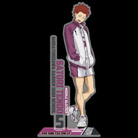 Official Haikyuu Schools Anime Acrylic Standees - FIHEROE.