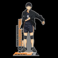 Official Haikyuu Schools Anime Acrylic Standees - FIHEROE.