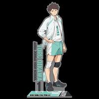 Official Haikyuu Schools Anime Acrylic Standees - FIHEROE.