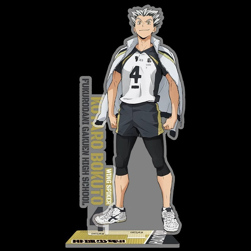Official Haikyuu Schools Anime Acrylic Standees - FIHEROE.