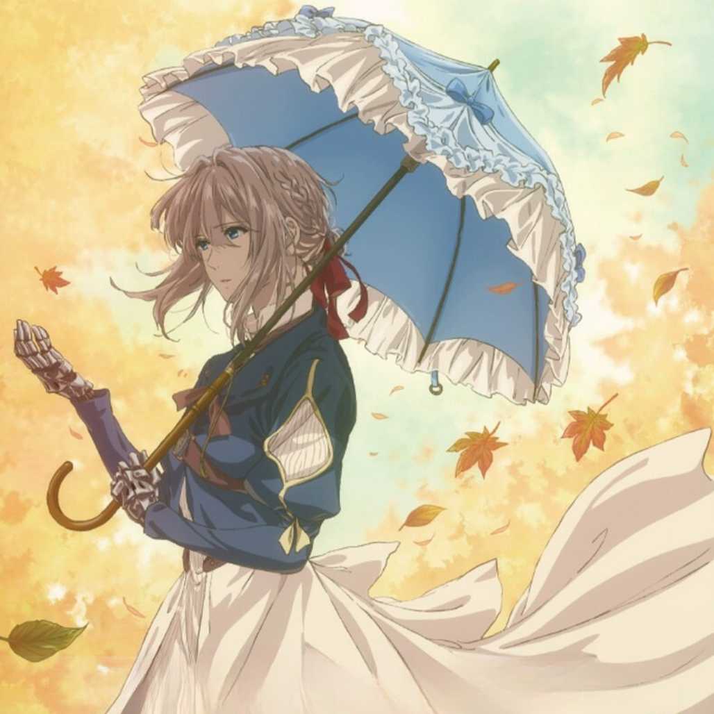 Official Violet Evergarden Anime Collection Set - FIHEROE.