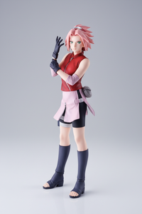 Sakura – White Background