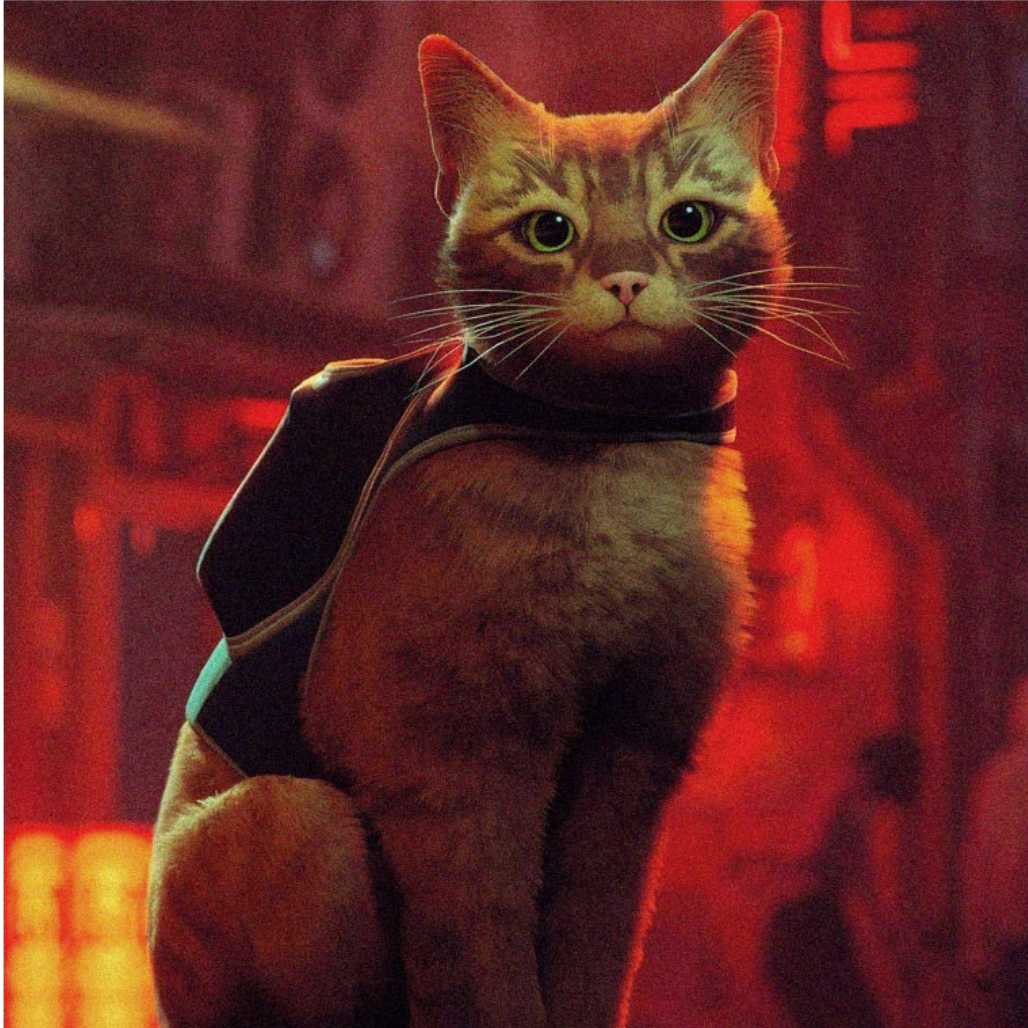 Stray Cat Culture Anime Animal Graphic Tee - FIHEROE.