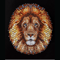 Ben Heine Lion Art Circlism Wall Decor - FIHEROE.