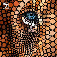 Ben Heine Lion Art Circlism Wall Decor - FIHEROE.